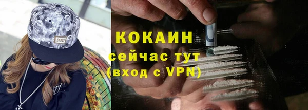 стафф Абаза