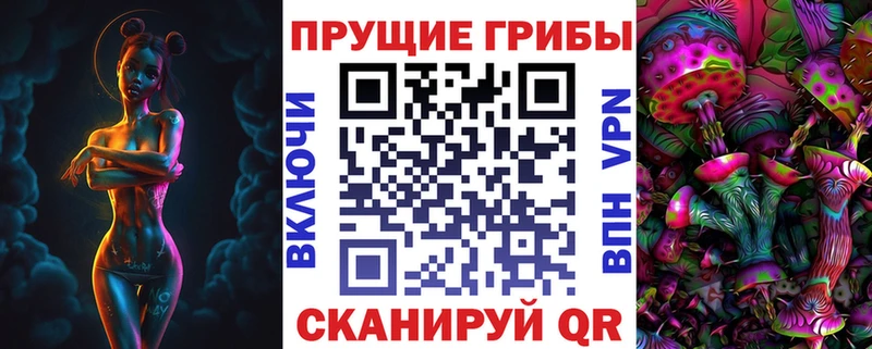Псилоцибиновые грибы Magic Shrooms  Камызяк 